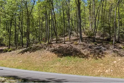 Lot 50 Wildcat Wilderness Reserve Parkway, Deep Gap, NC 28618 - Photo 1