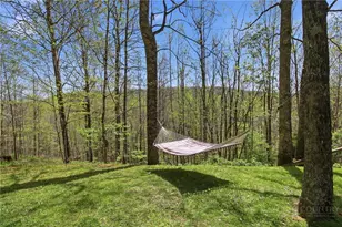 173 Goat Hill Rd, Todd, NC 28684 - Photo 12
