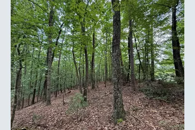 Lot 139 Pine Burr Drive, Purlear, NC 28665 - Photo 10