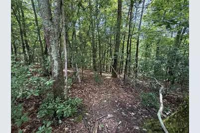 Lot 139 Pine Burr Drive, Purlear, NC 28665 - Photo 6