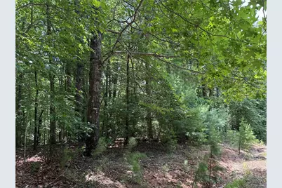 Lot 139 Pine Burr Drive, Purlear, NC 28665 - Photo 12