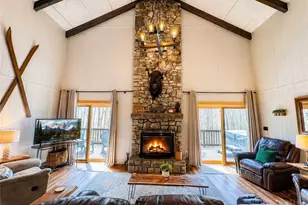 125 Lower Grouse Ridge Rd, Beech Mountain, NC 28604 - Photo 2