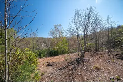 Tbd Owls Brow Ridge, Blowing Rock, NC 28605 - Photo 2