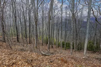 Tbd Lot #46 Woodlily Drive, Banner Elk, NC 28604 - Photo 4