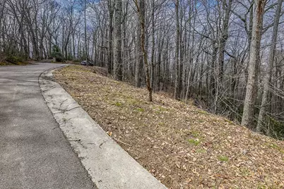 Tbd Lot #46 Woodlily Drive, Banner Elk, NC 28604 - Photo 10