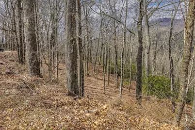 Tbd Lot #46 Woodlily Drive, Banner Elk, NC 28604 - Photo 12