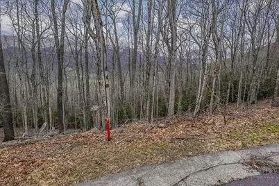 Tbd Lot #46 Woodlily Drive, Banner Elk, NC 28604 - Photo 6