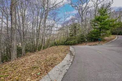 Tbd Lot #46 Woodlily Drive, Banner Elk, NC 28604 - Photo 2