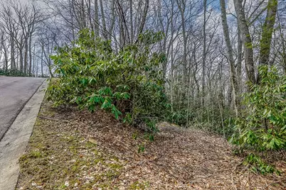 Tbd Lot #46 Woodlily Drive, Banner Elk, NC 28604 - Photo 8