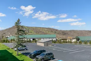 301 Pinnacle Inn Rd, Beech Mountain, NC 28604 - Photo 4