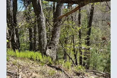 Lot 5 Churchill Downs, Boone, NC 28607 - Photo 28