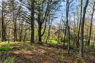 222 Sorrento Dr, Blowing Rock, NC 28605 - Photo 40