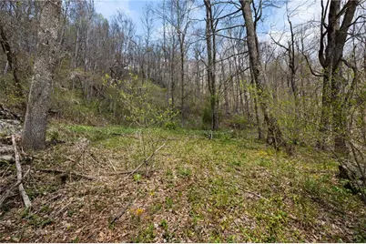 Tbd Rocky Mountain Road, Boone, NC 28607 - Photo 18