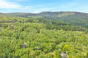 192 Wild Daisy Ln, Beech Mountain, NC 28604 - Photo 48