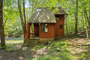 203 Shagbark, Beech Mountain, NC 28604 - Photo 14