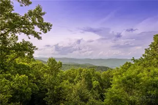 153 Stonecrop Ln, Boone, NC 28607 - Photo 40