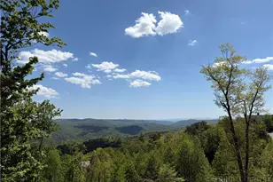 369 Ninebark Rd, Boone, NC 28607 - Photo 6