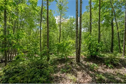 0 Beaver Dam Road, Elk Park, NC 28622 - Photo 1