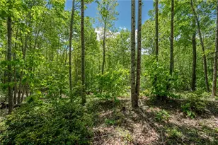 0 Beaver Dam Rd, Elk Park, NC 28622 - Photo 1