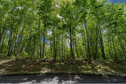 0 Beaver Dam Road, Elk Park, NC 28622 - Photo 4