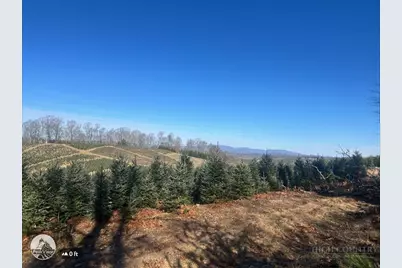 7889 Old Highway 16, Crumpler, NC 28617 - Photo 24