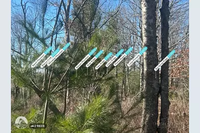 7889 Old Highway 16, Crumpler, NC 28617 - Photo 26