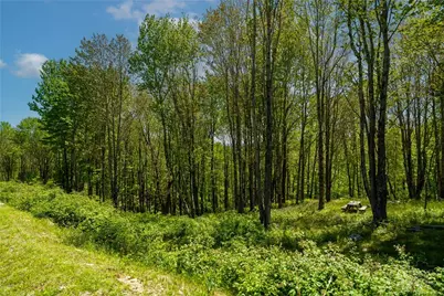 Lot 86 Featherwood Trail, Banner Elk, NC 28604 - Photo 38