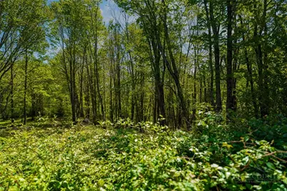 Lot 86 Featherwood Trail, Banner Elk, NC 28604 - Photo 34