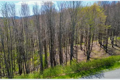 Lot 86 Featherwood Trail, Banner Elk, NC 28604 - Photo 12