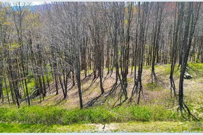 Lot 86 Featherwood Trail, Banner Elk, NC 28604 - Photo 6