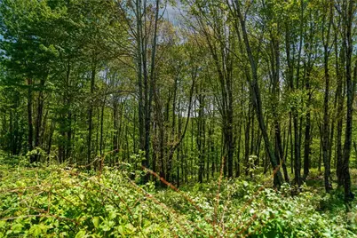 Lot 86 Featherwood Trail, Banner Elk, NC 28604 - Photo 42