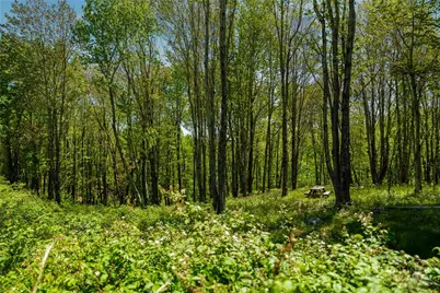 Lot 86 Featherwood Trail, Banner Elk, NC 28604 - Photo 40