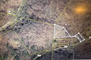 461 Reuben Wooten Rd, Banner Elk, NC 28604 - Photo 4