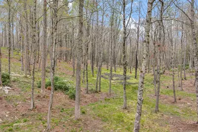 811 Linhigh, Newland, NC 28657 - Photo 48
