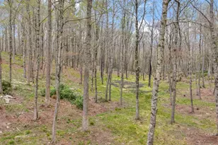 811 Linhigh, Newland, NC 28657 - Photo 48