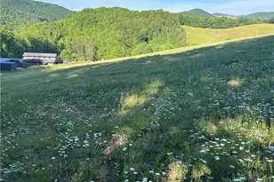 509 Grant Houck Rd, Todd, NC 28684 - Photo 2