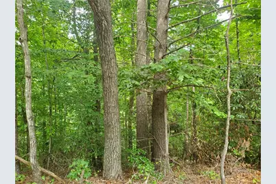 3924 Pearson Mountain Road, Boomer, NC 28606 - Photo 22