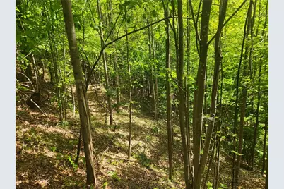 3924 Pearson Mountain Road, Boomer, NC 28606 - Photo 32
