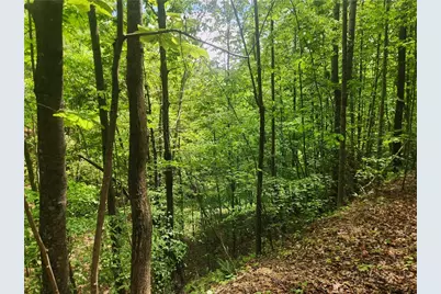 3924 Pearson Mountain Road, Boomer, NC 28606 - Photo 38