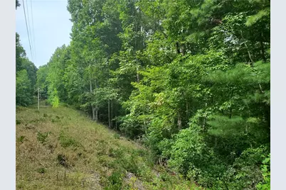 3924 Pearson Mountain Road, Boomer, NC 28606 - Photo 18