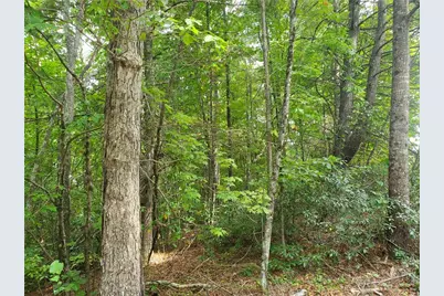 3924 Pearson Mountain Road, Boomer, NC 28606 - Photo 28
