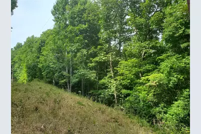 3924 Pearson Mountain Road, Boomer, NC 28606 - Photo 20