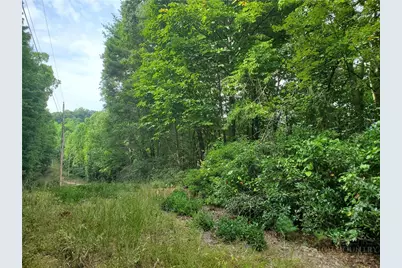 3924 Pearson Mountain Road, Boomer, NC 28606 - Photo 26