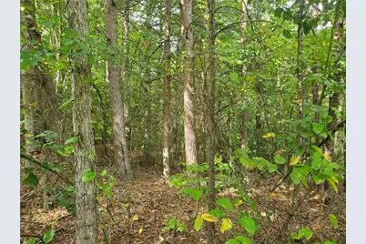 3924 Pearson Mountain Road, Boomer, NC 28606 - Photo 24