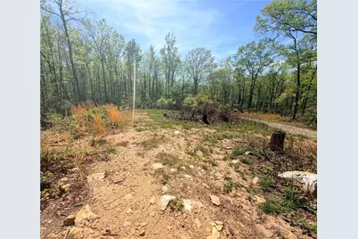 Tbd Raven Ridge Trail, Dobson, NC 27017 - Photo 16