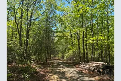 Tbd Raven Ridge Trail, Dobson, NC 27017 - Photo 6