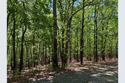 Tbd Raven Ridge Trail, Dobson, NC 27017 - Photo 4