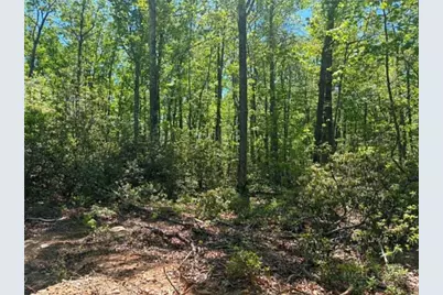 Tbd Raven Ridge Trail, Dobson, NC 27017 - Photo 8