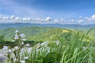 174 Winter Park Trail, Beech Mountain, NC 28604 - Photo 30