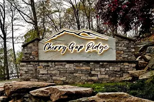 174 Winter Park Trail, Beech Mountain, NC 28604 - Photo 24